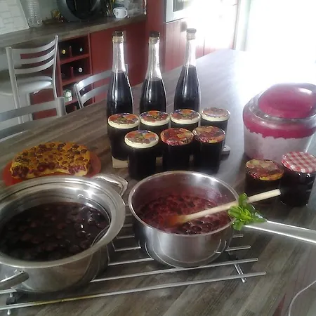 Bed & Breakfast Beffoux En Lys Haut Layon *
